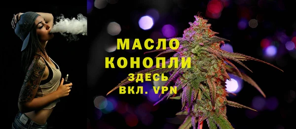 стаф Грязовец