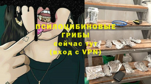 Альфа ПВП Осташков