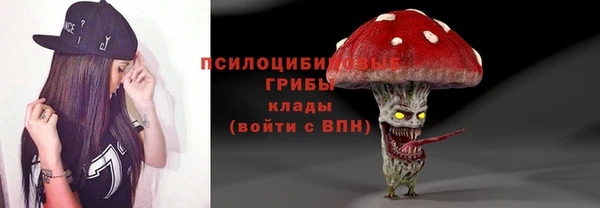 Альфа ПВП Осташков