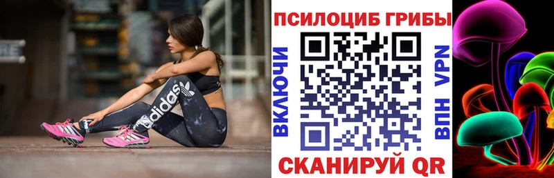 магазин продажи   Тобольск  ссылка на мегу ссылки  Галлюциногенные грибы прущие грибы 