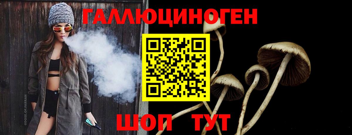 Псилоцибиновые грибы Cubensis  Вход с VPN  Псилоцибиновые грибы мухоморы  Тобольск 