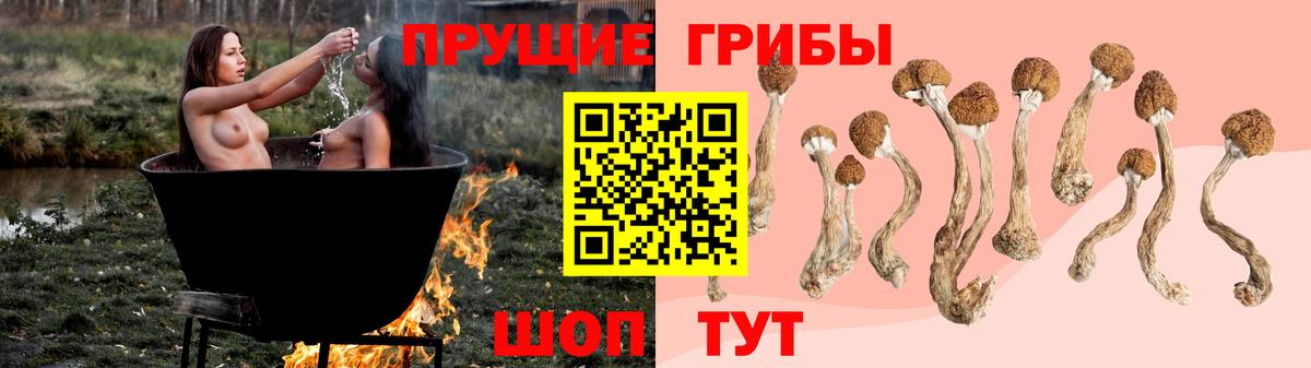 Галлюциногенные грибы Psilocybine cubensis  Тобольск  Псилоцибиновые грибы мухоморы 